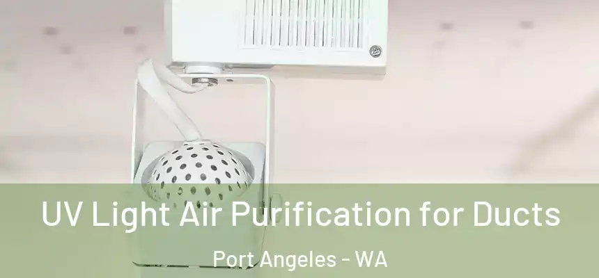  UV Light Air Purification for Ducts Port Angeles - WA
